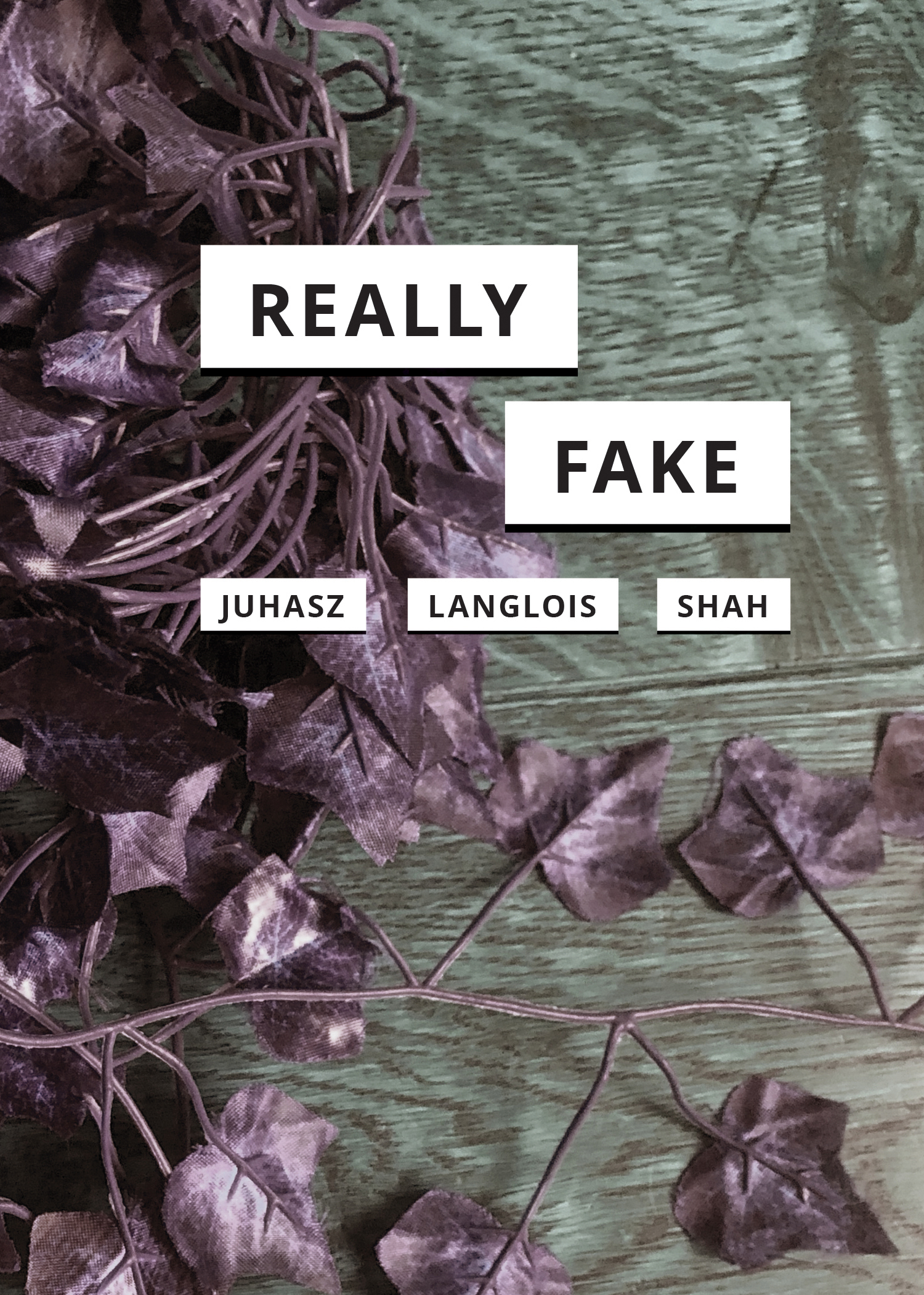 cover for Really Fake