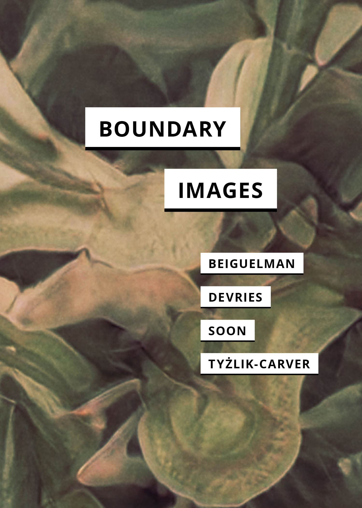 cover for Boundary Images